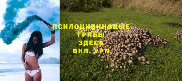 стаф Армянск