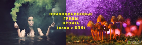 стаф Армянск