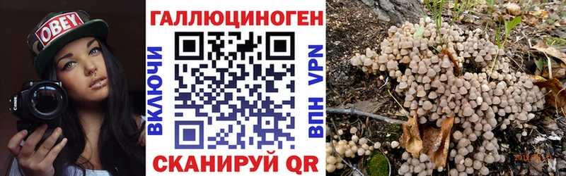 Псилоцибиновые грибы Psilocybine cubensis  Снежинск 